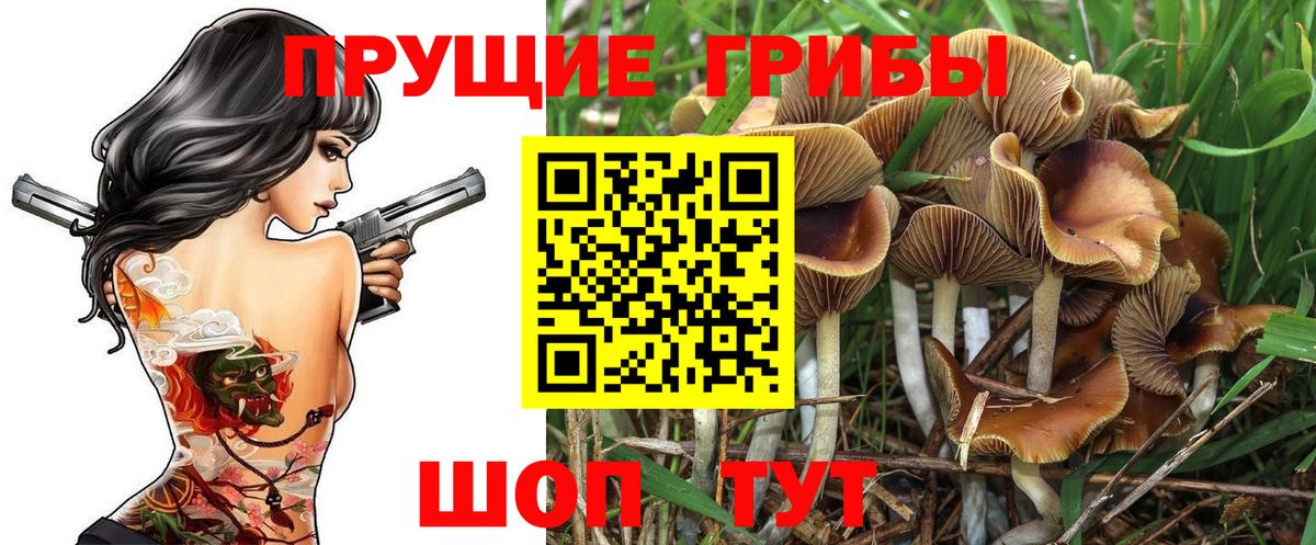 Псилоцибиновые грибы мицелий Нижнеудинск